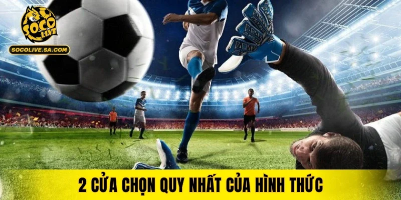 2 cửa chọn quy nhất của hình thức