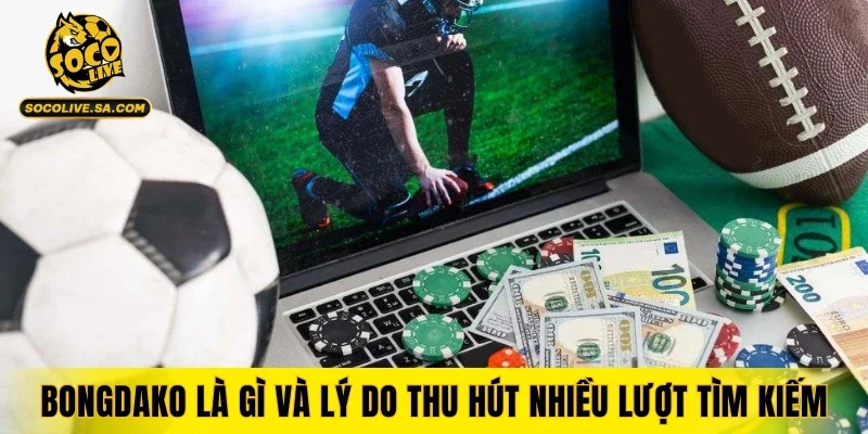 Bongdako là gì và lý do nền tảng này thu hút nhiều lượt tìm kiếm