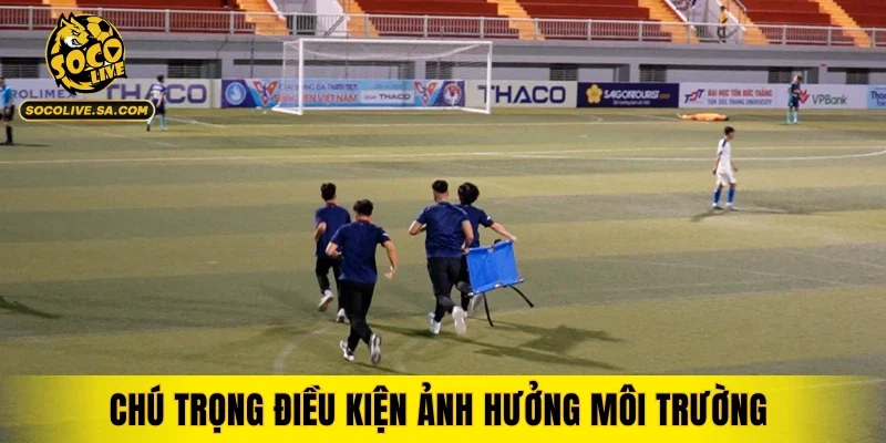 Chú trọng điều kiện ảnh hưởng môi trường
