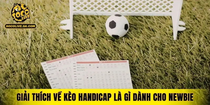 Giải thích về kèo handicap là gì dành cho newbie