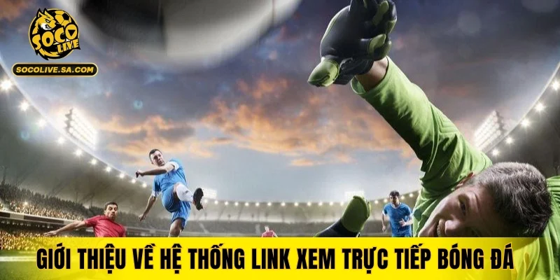 Giới thiệu về hệ thống link xem trực tiếp bóng đá