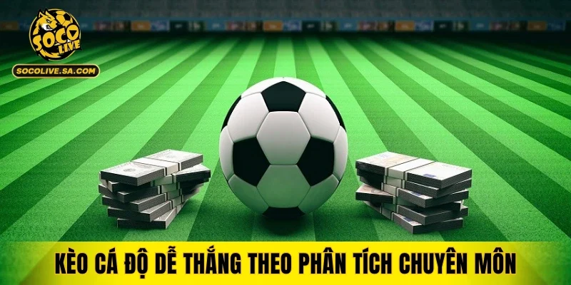 Hiểu thế nào về kèo cá độ dễ thắng theo phân tích chuyên môn