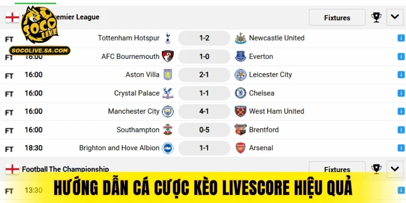 Hướng dẫn cá cược kèo Livescore hiệu quả