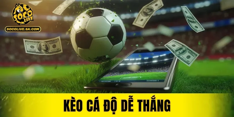 Kèo Cá Độ Dễ Thắng