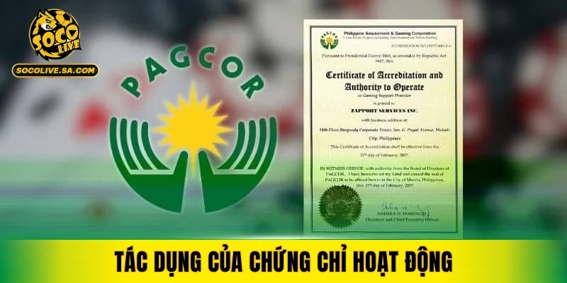 Tác dụng của chứng chỉ hoạt động trong việc nâng cao trải nghiệm