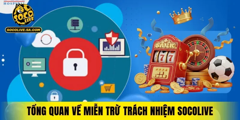 Tổng quan về miễn trừ trách nhiệm SOCOLIVE