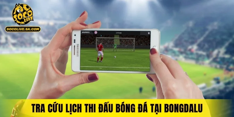 Tra cứu lịch thi đấu bóng đá tại Bongdalu