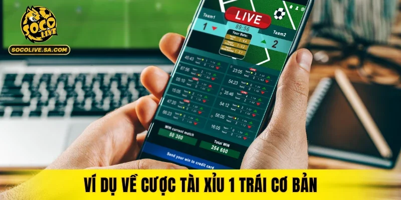 Ví dụ về cược tài xỉu 1 trái cơ bản
